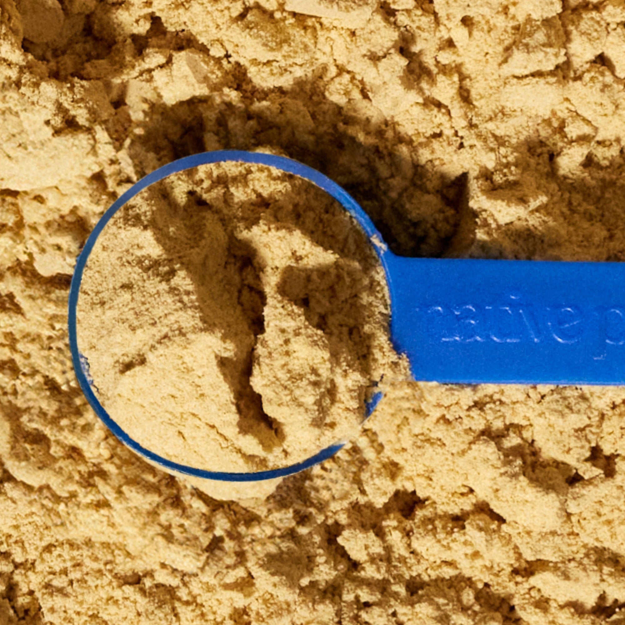 PROBIOTIC - Eva Pet - Native Pet