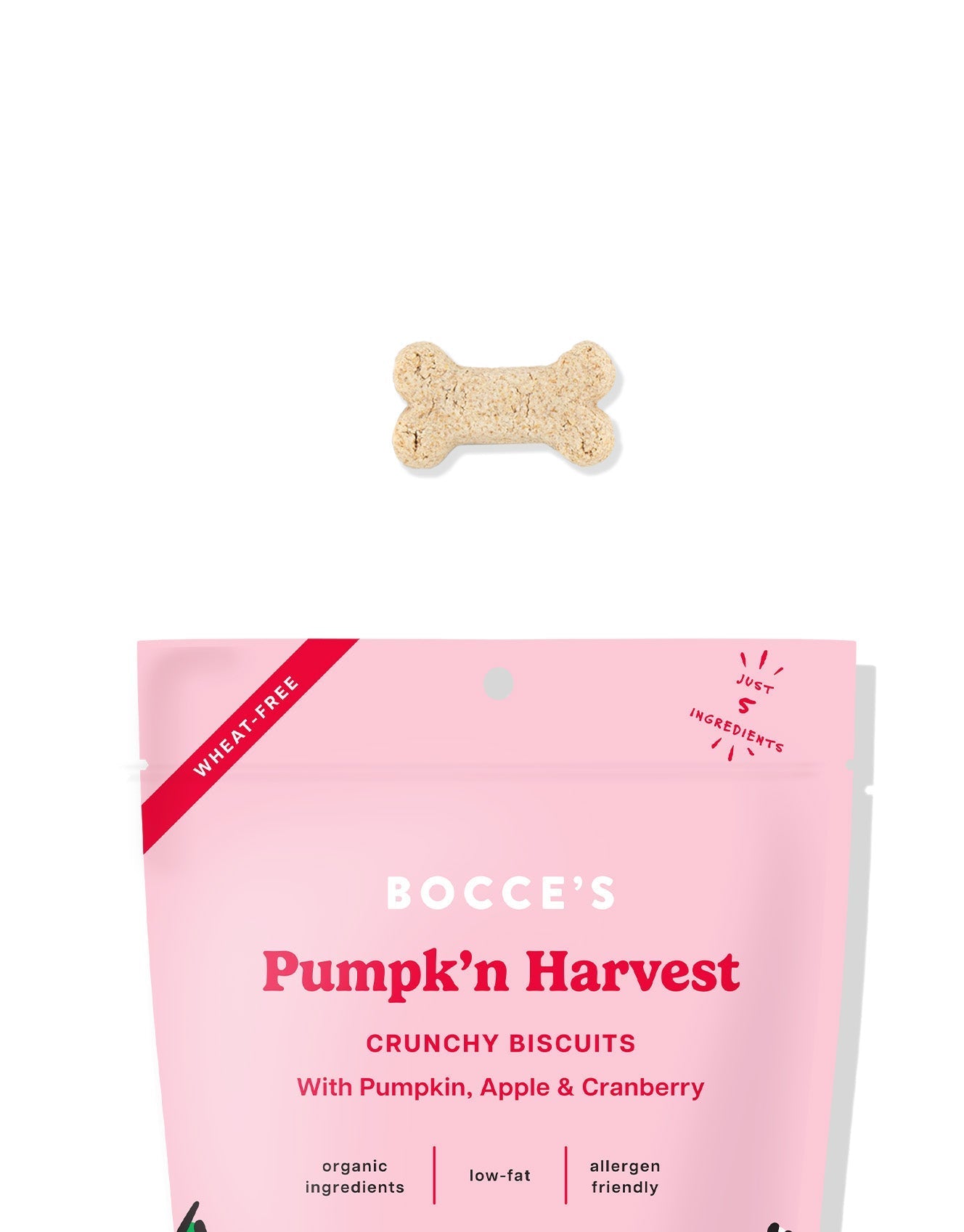 Pumpk'n Harvest Biscuits - Eva Pet - Bocce's Bakery