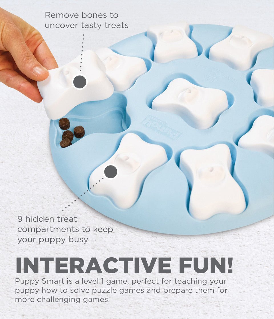 Puppy Smart Interactive Treat Puzzle Dog Toy, Blue - Eva Pet - Outward Hound
