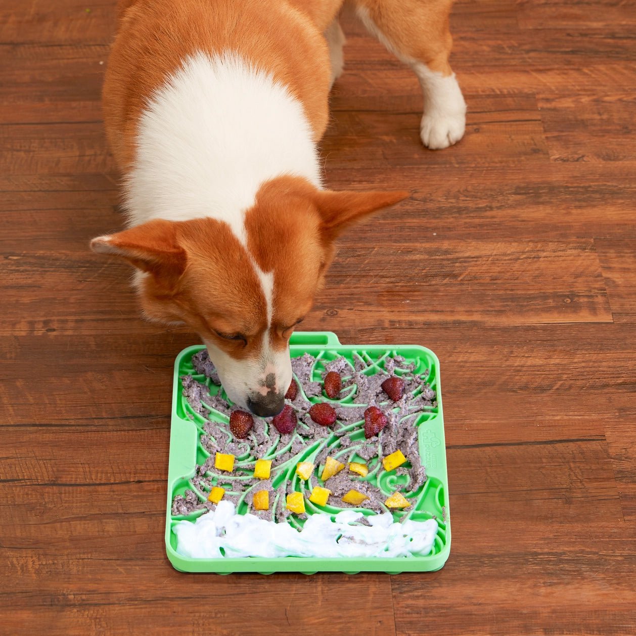 Puzzle Feeder Lick Mat For Dog, Enrichment Green Mat - Eva Pet - Puzzle Feeder™