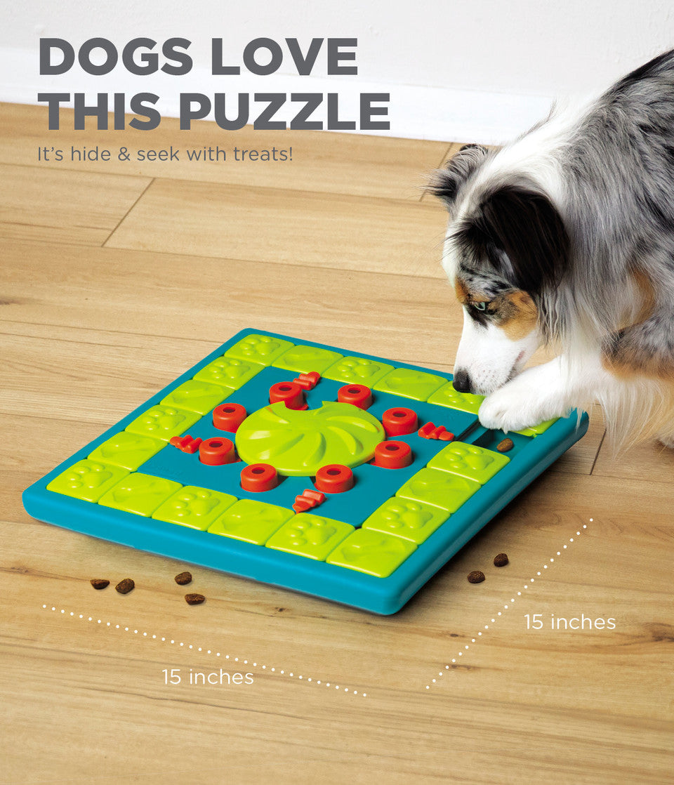 MultiPuzzle Interactive Dog Treat Puzzle Toy, Blue