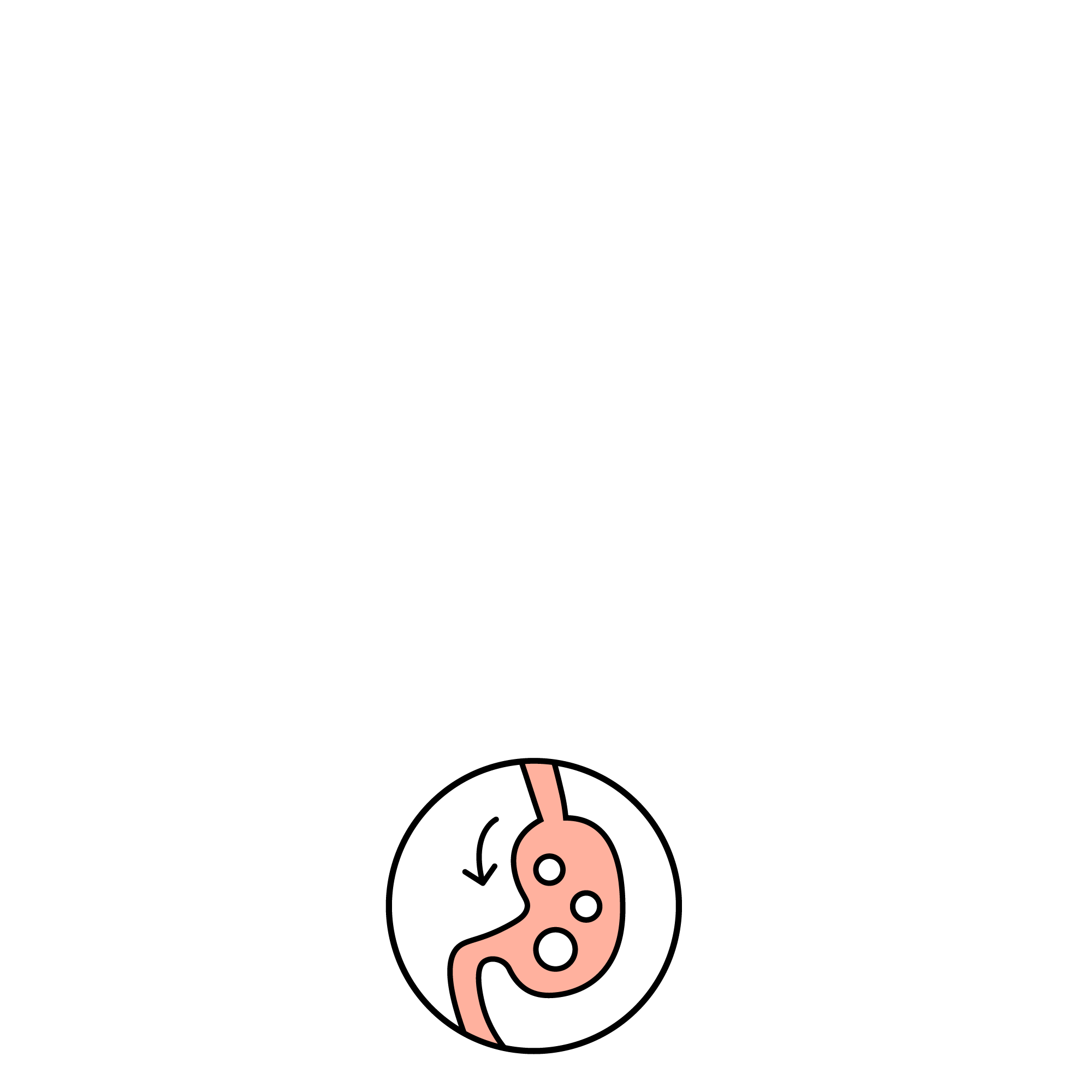 Rawbble® Dry Food for Dogs – Beef Recipe - Eva Pet - Bixbi