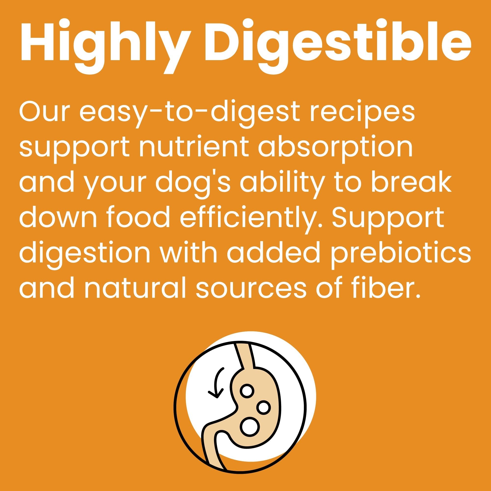 Rawbble® Dry Food for Dogs – Chicken Recipe - Eva Pet - Bixbi