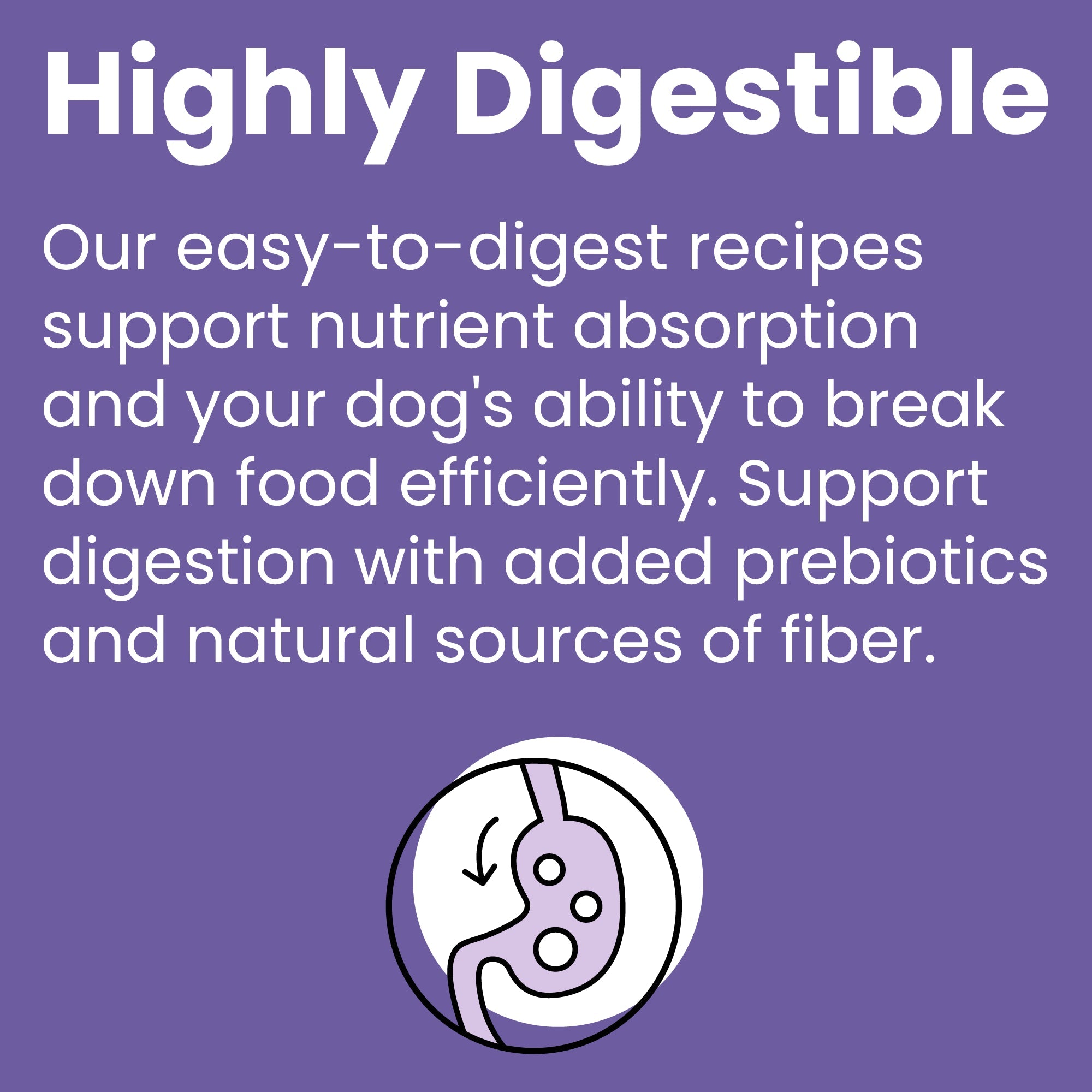 Rawbble® Dry Food for Dogs – Lamb Recipe - Eva Pet - Bixbi