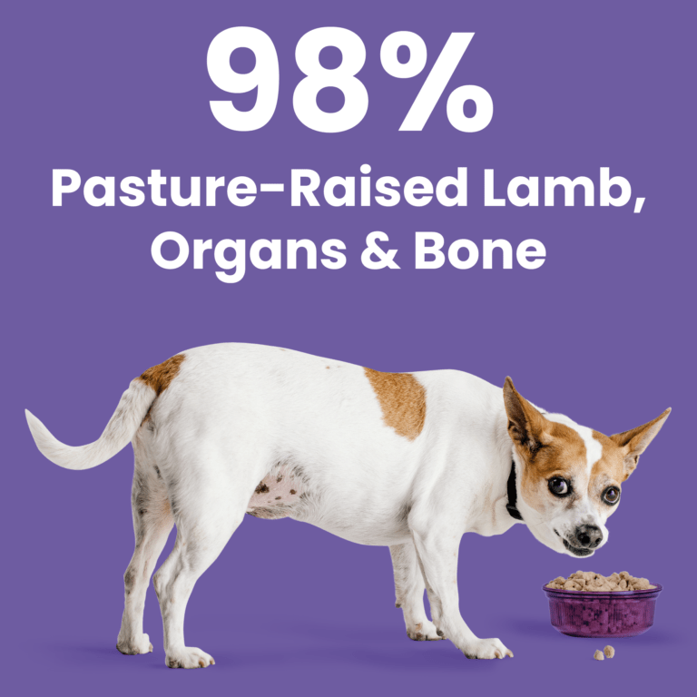 Rawbble® Freeze - Dried Food for Dogs – Lamb Recipe - Eva Pet - Eva Pet