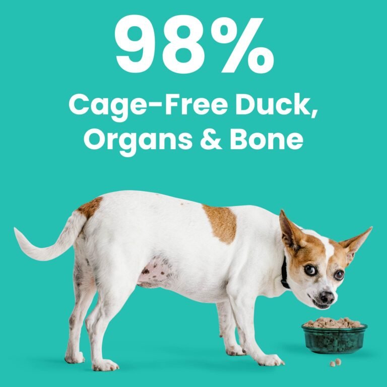 Rawbble® Freeze - Dried Food for Dogs – Lamb Recipe - Eva Pet - Eva Pet