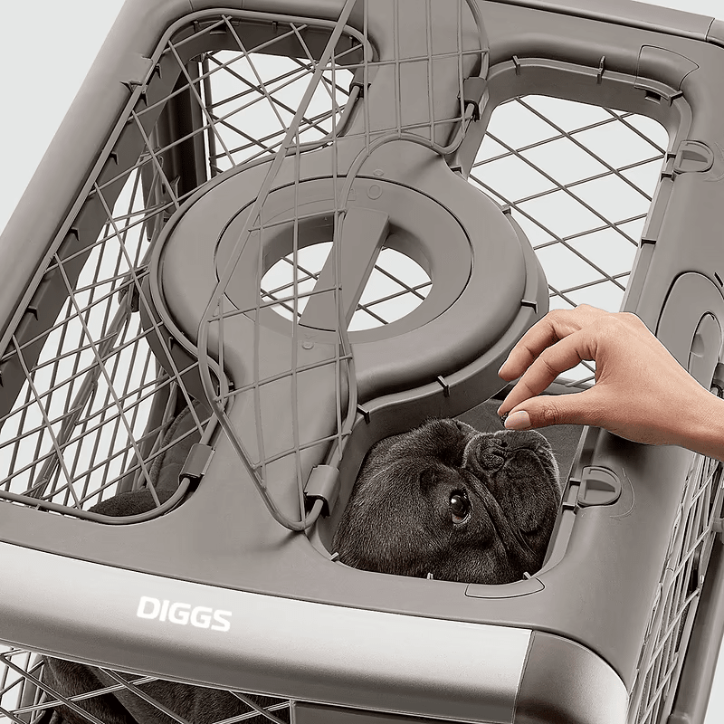 Revol Dog Crate - Eva Pet - Diggs