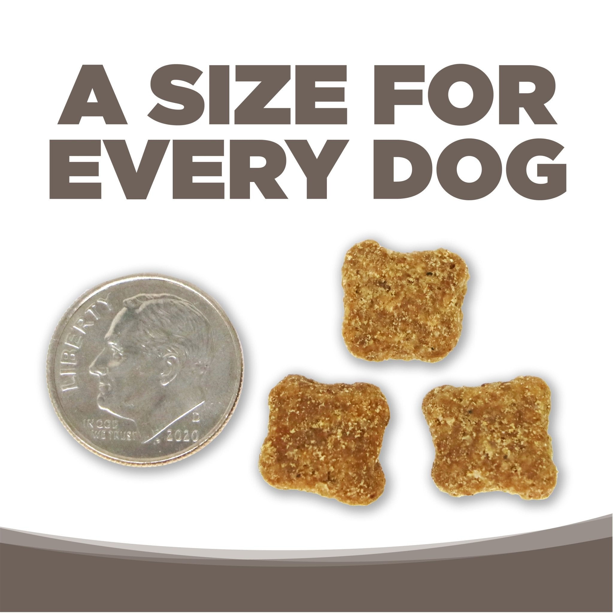 Senior Chicken & Rice - Eva Pet - NutriSource