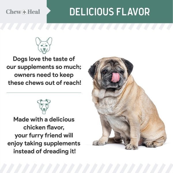 Senior Hip & Joint Dog Supplement - Eva Pet - Chew + Heal