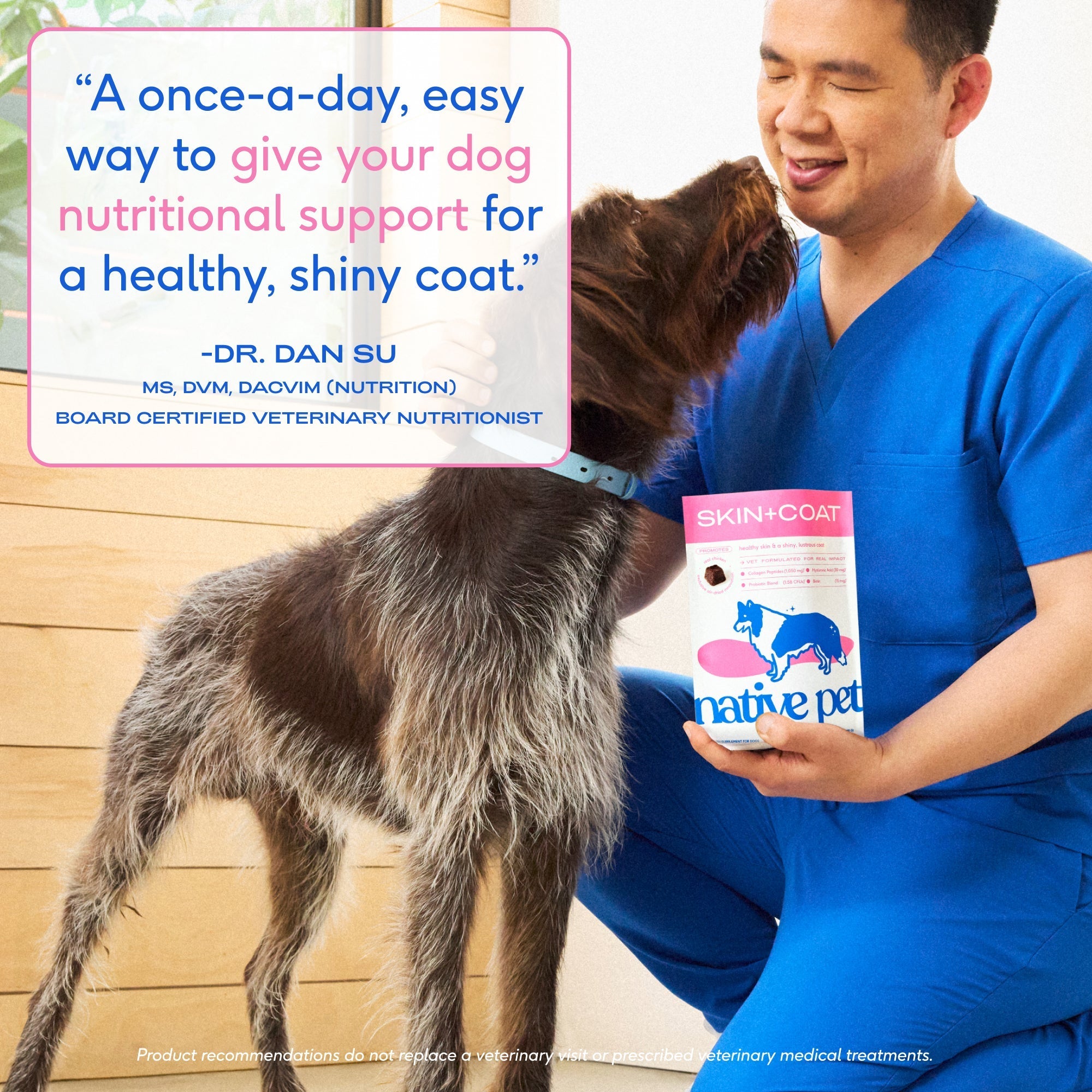 SKIN+COAT CHEWS - Eva Pet - Native Pet