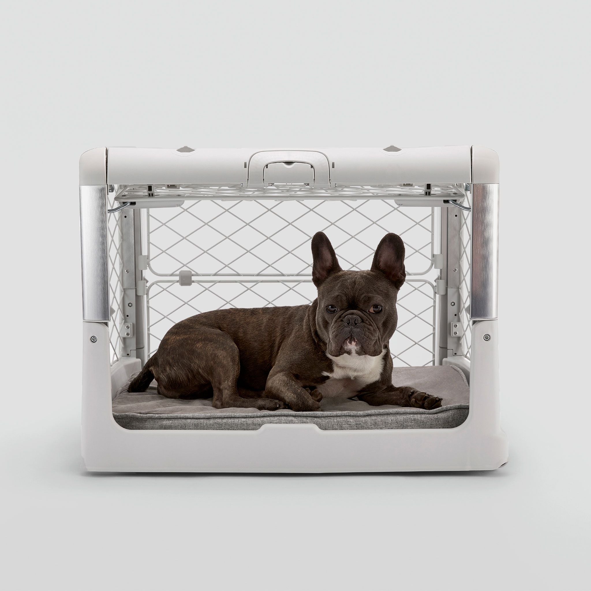 Snooz Revol Pad - Eva Pet - Diggs