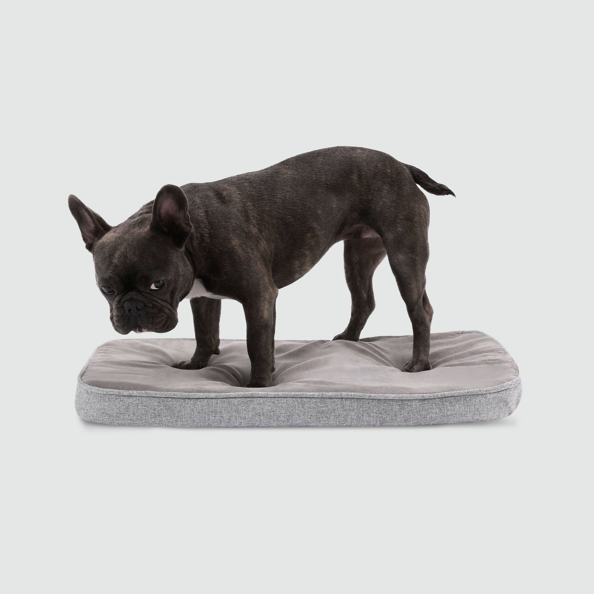 Snooz Revol Pad - Eva Pet - Diggs