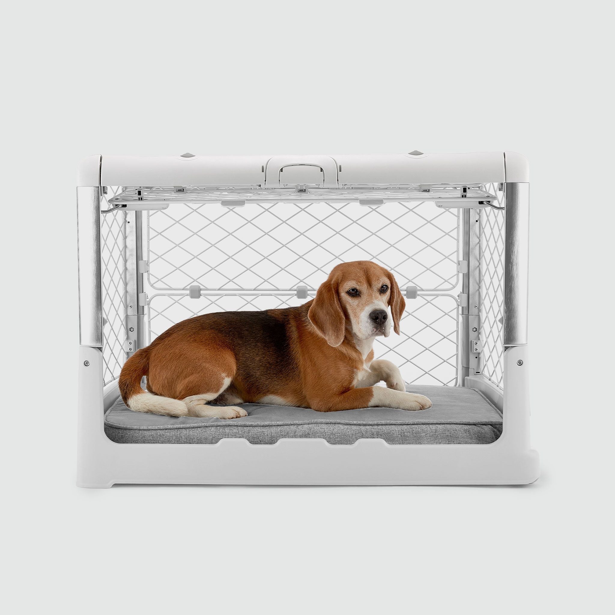 Snooz Revol Pad - Eva Pet - Diggs