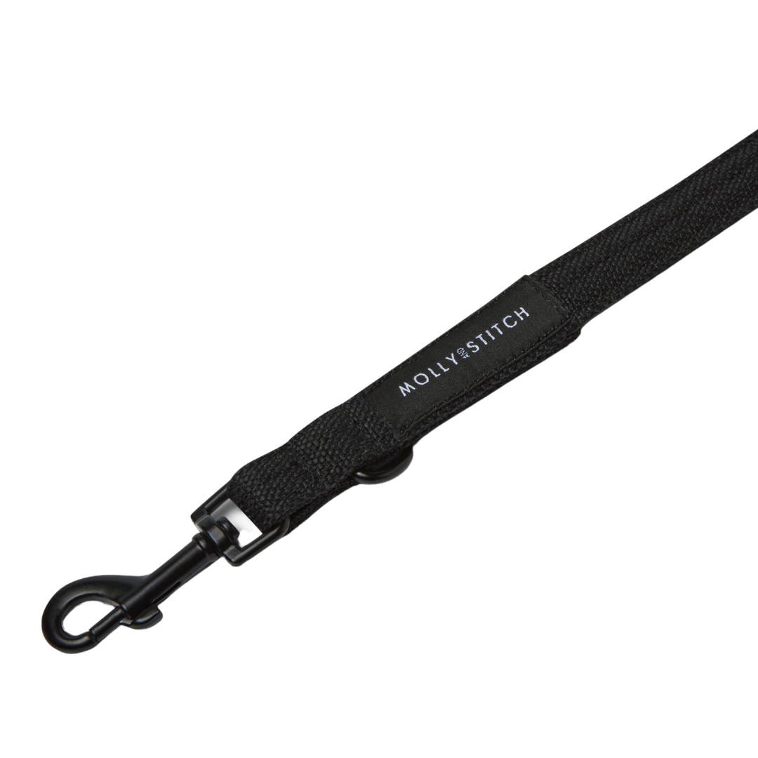Soft Rock City Leash - Black - Eva Pet - mollyandstitchus