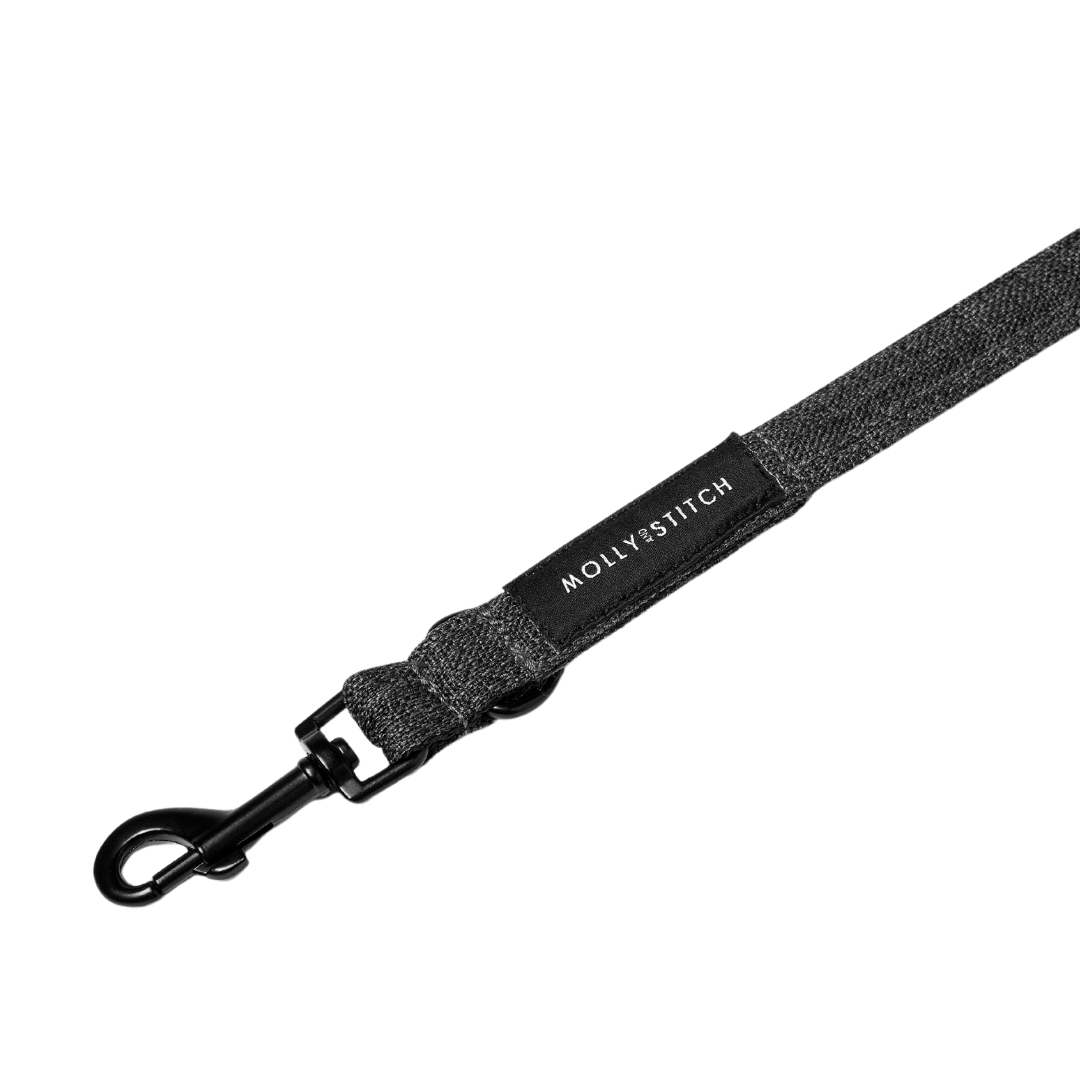Soft Rock City Leash - Grey - Eva Pet - mollyandstitchus