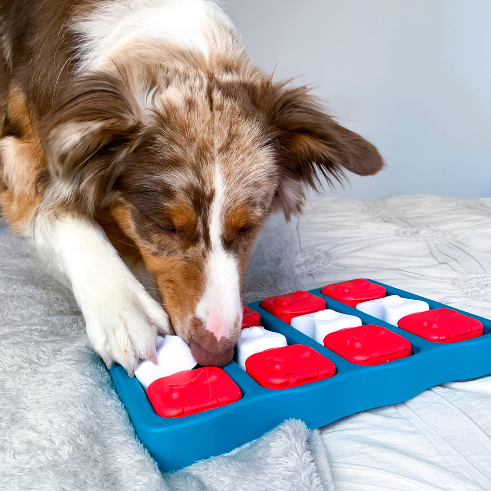 Dog Brick Interactive Treat Puzzle Dog Toy, Blue