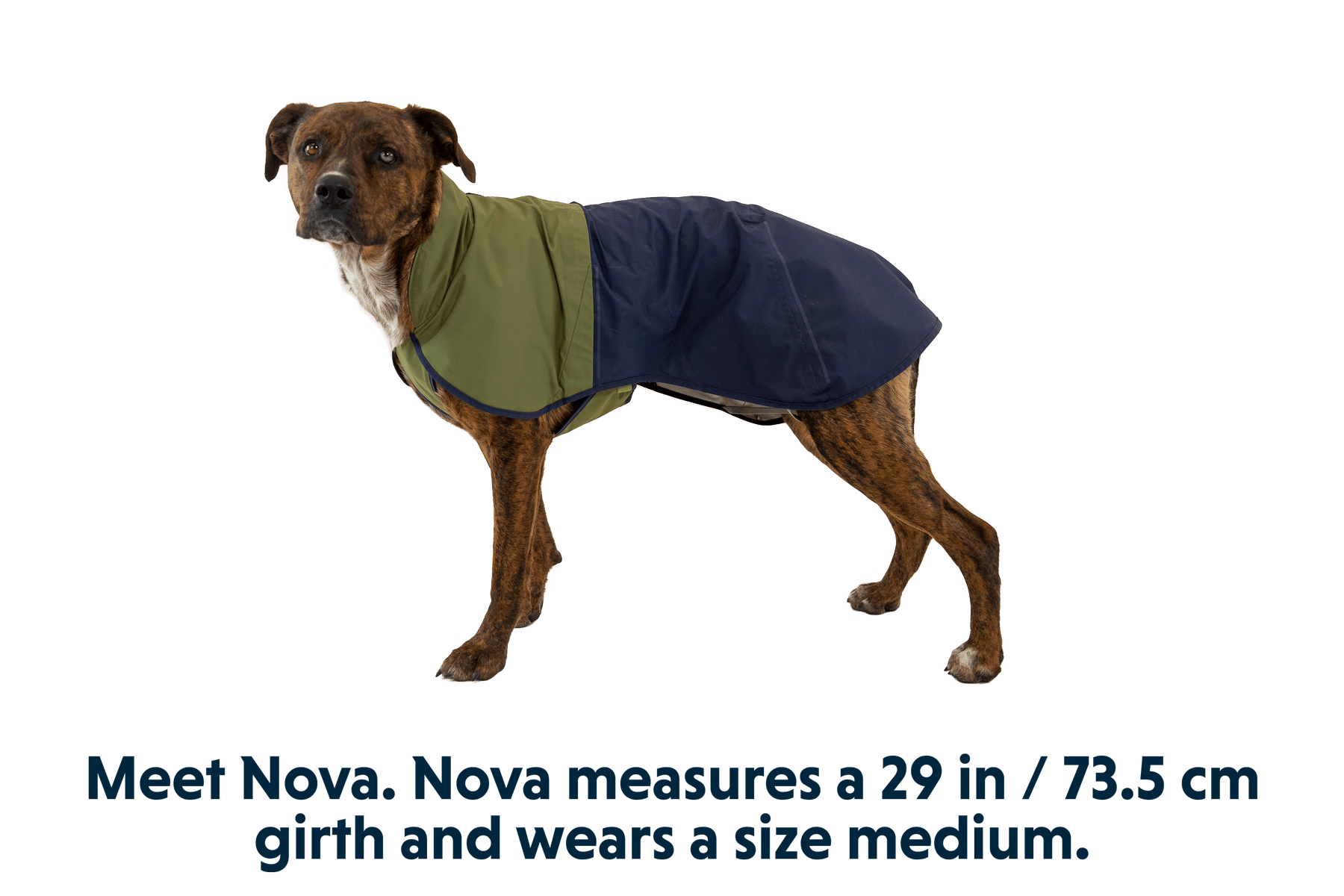 Sun Shower™ Dog Raincoat - Eva Pet - Ruff Wear Inc.