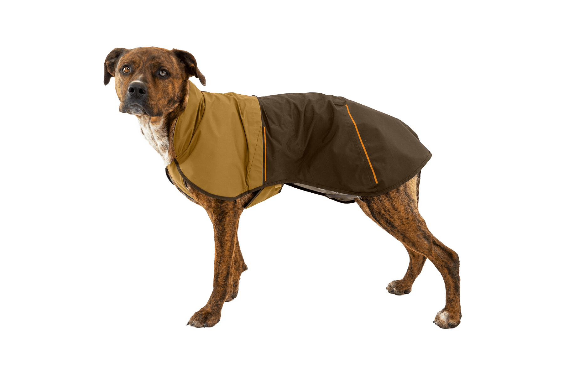 Sun Shower™ Dog Raincoat - Eva Pet - Ruff Wear Inc.