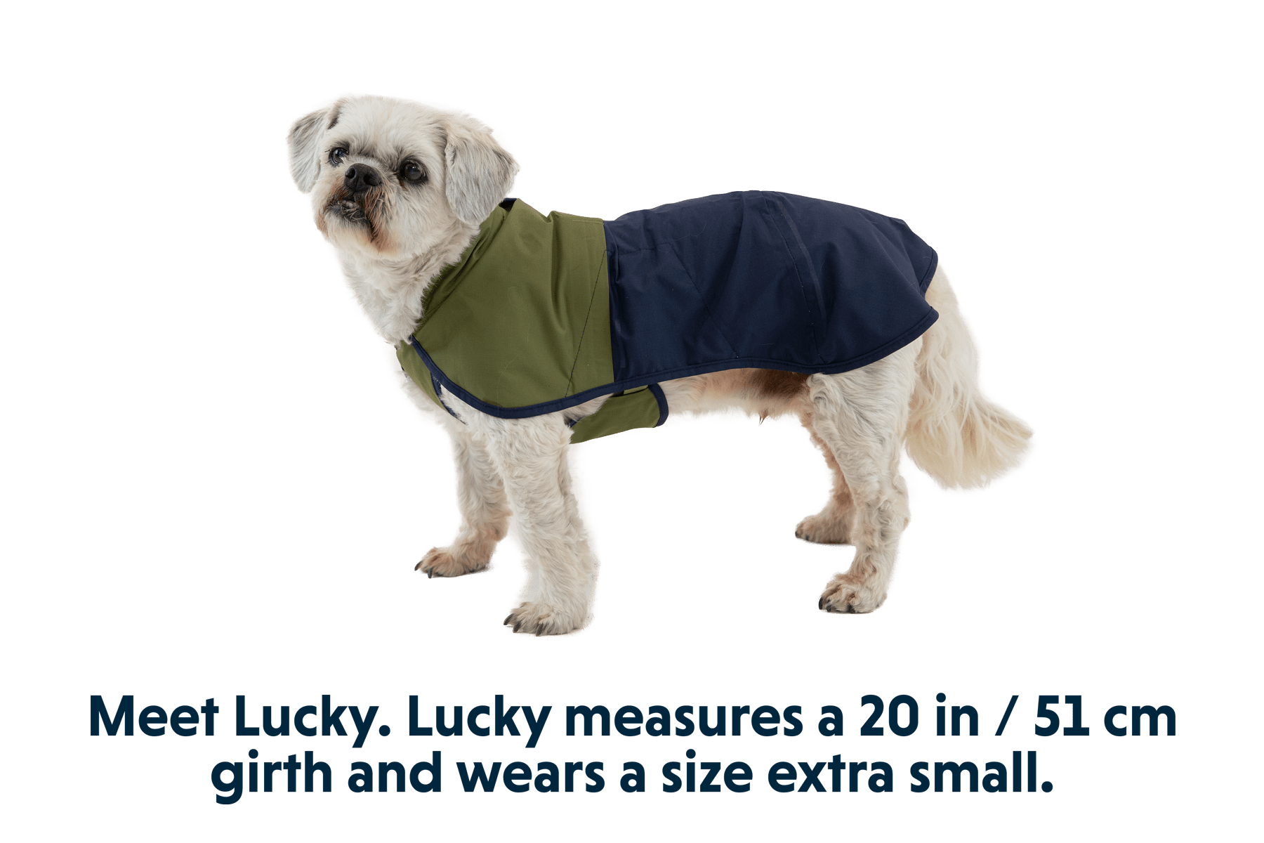 Sun Shower™ Dog Raincoat - Eva Pet - Ruff Wear Inc.