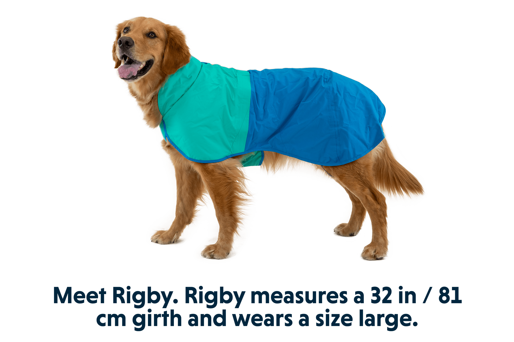 Sun Shower™ Dog Raincoat - Eva Pet - Ruff Wear Inc.