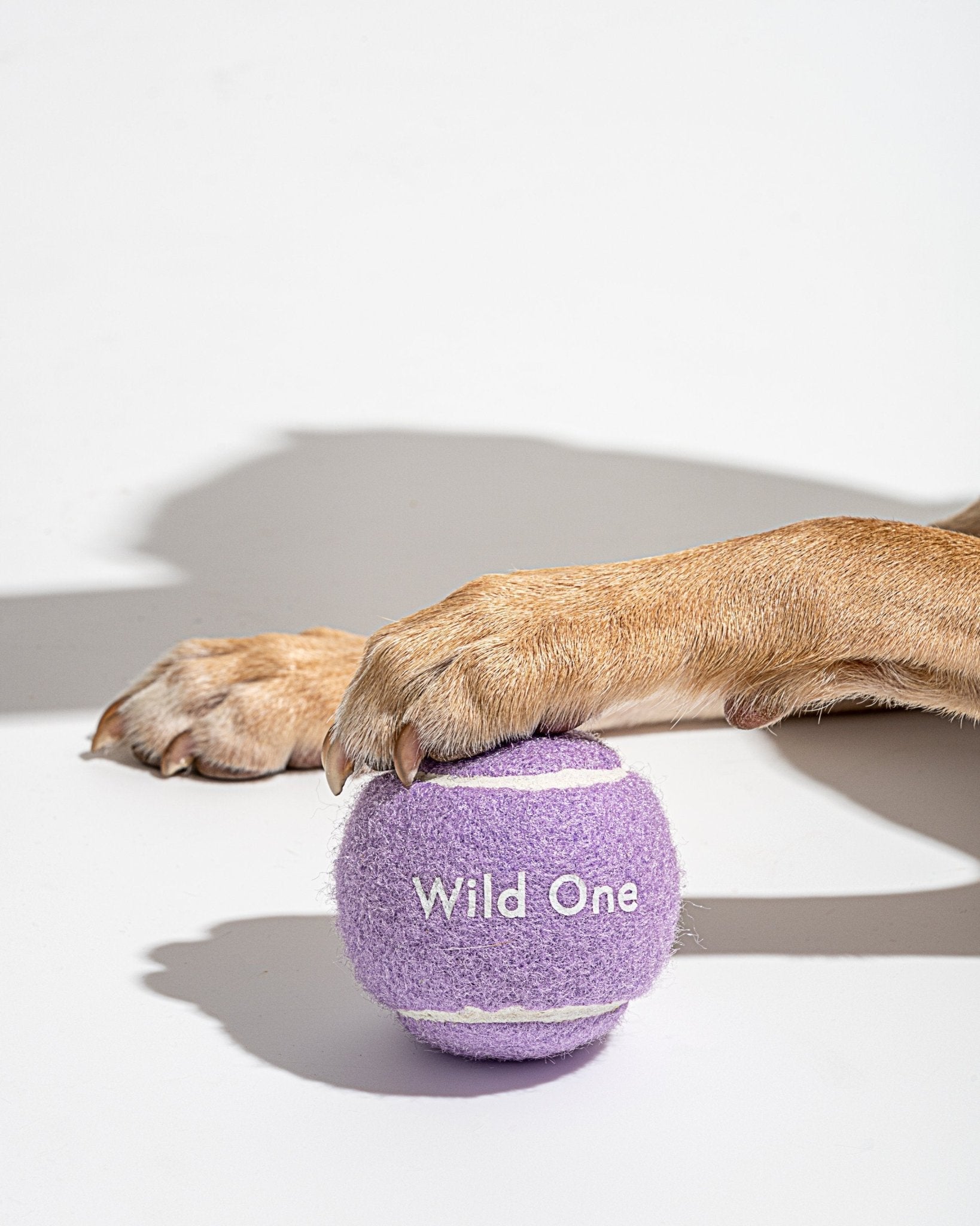 Tennis Balls - Eva Pet - Wild One