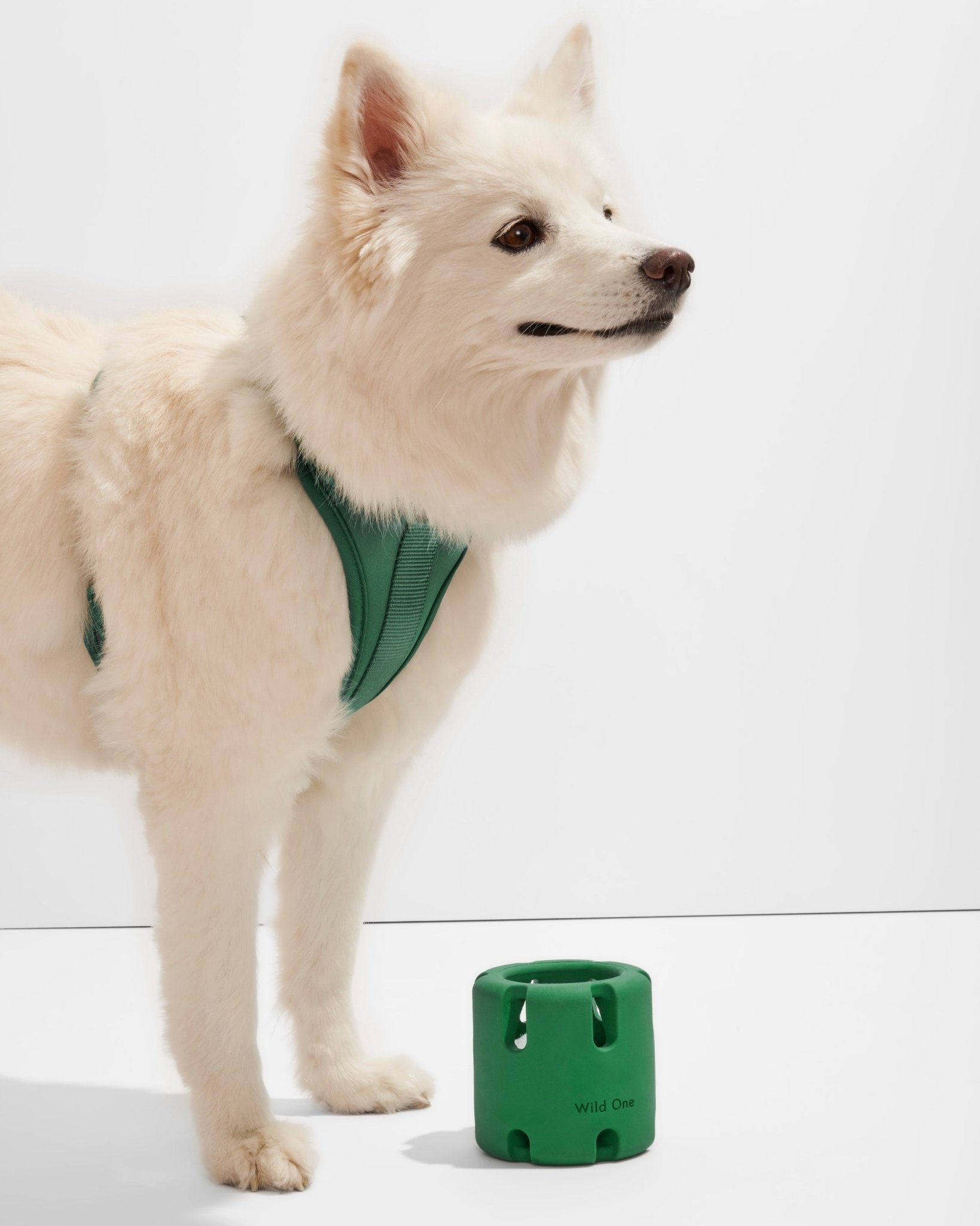 Tennis Tumble - Eva Pet - Wild One