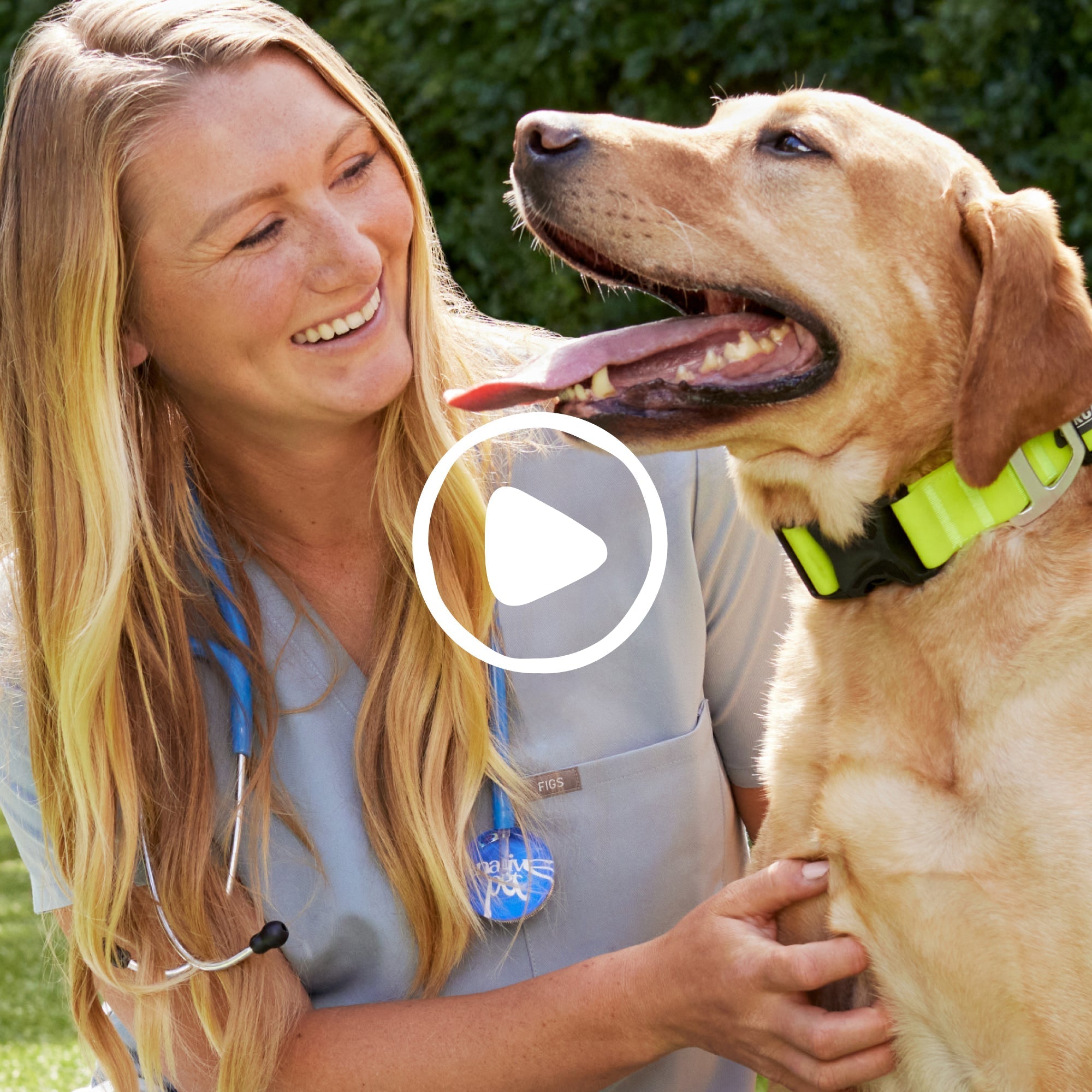 THE DAILY - Eva Pet - Native Pet