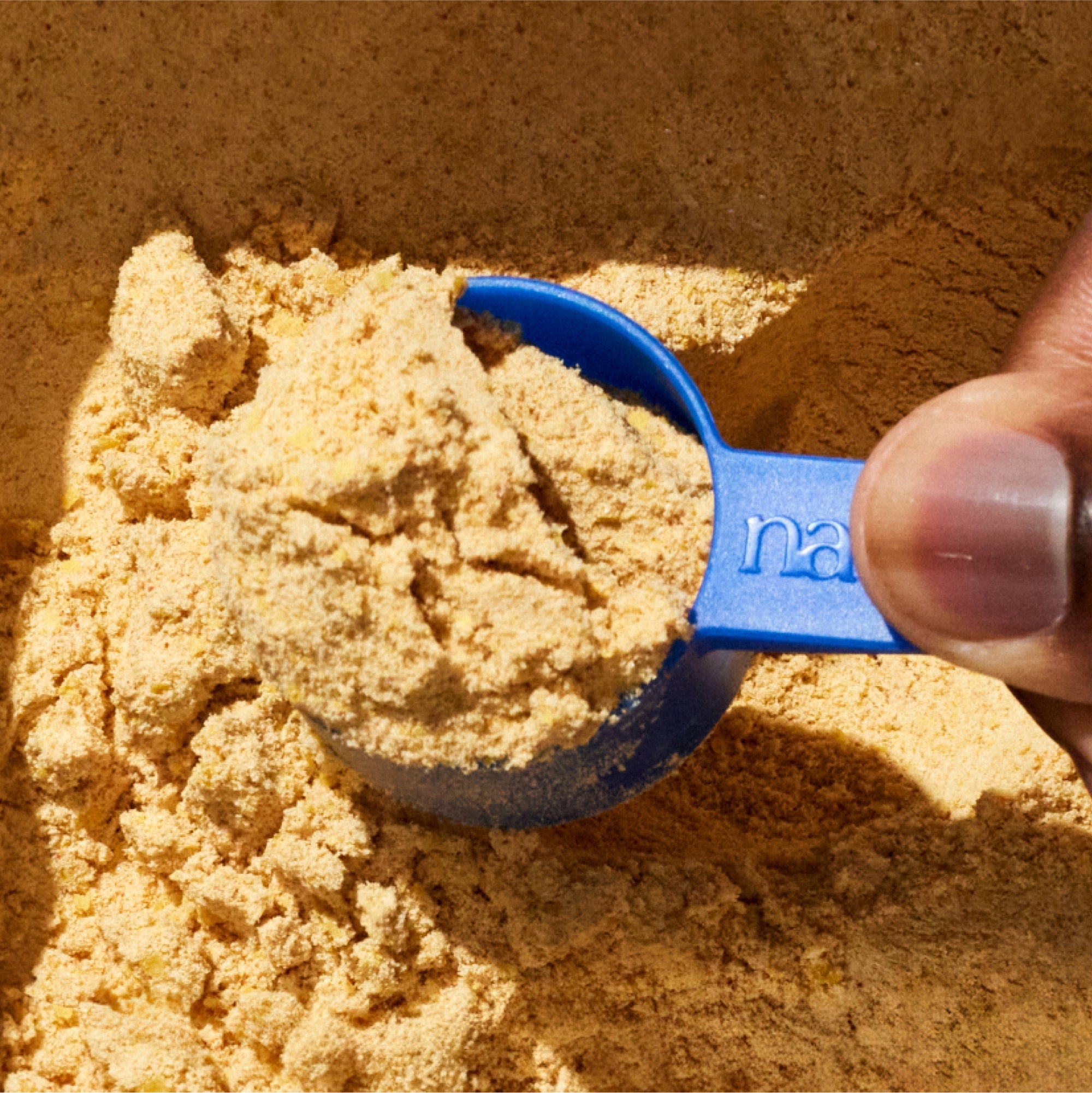 The New Pup Starter Kit - Eva Pet - Eva Pet