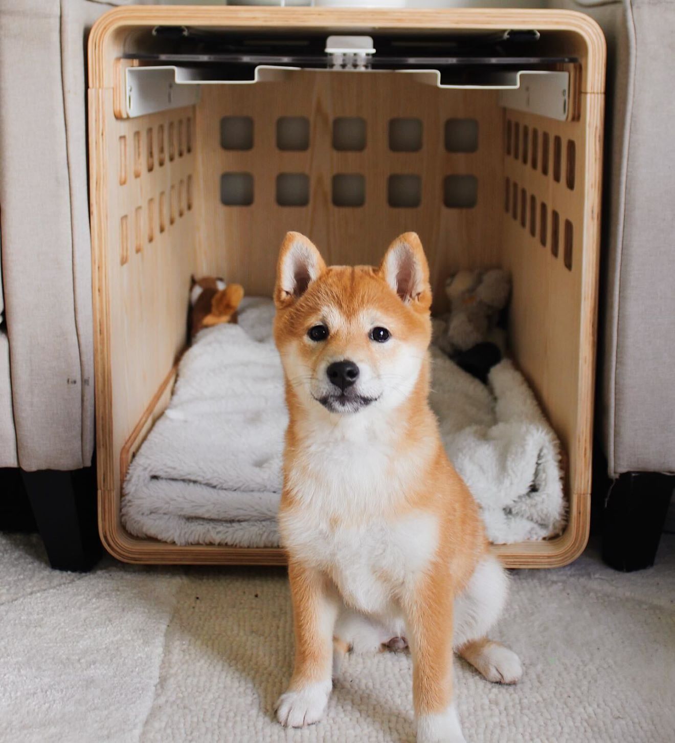 Crate