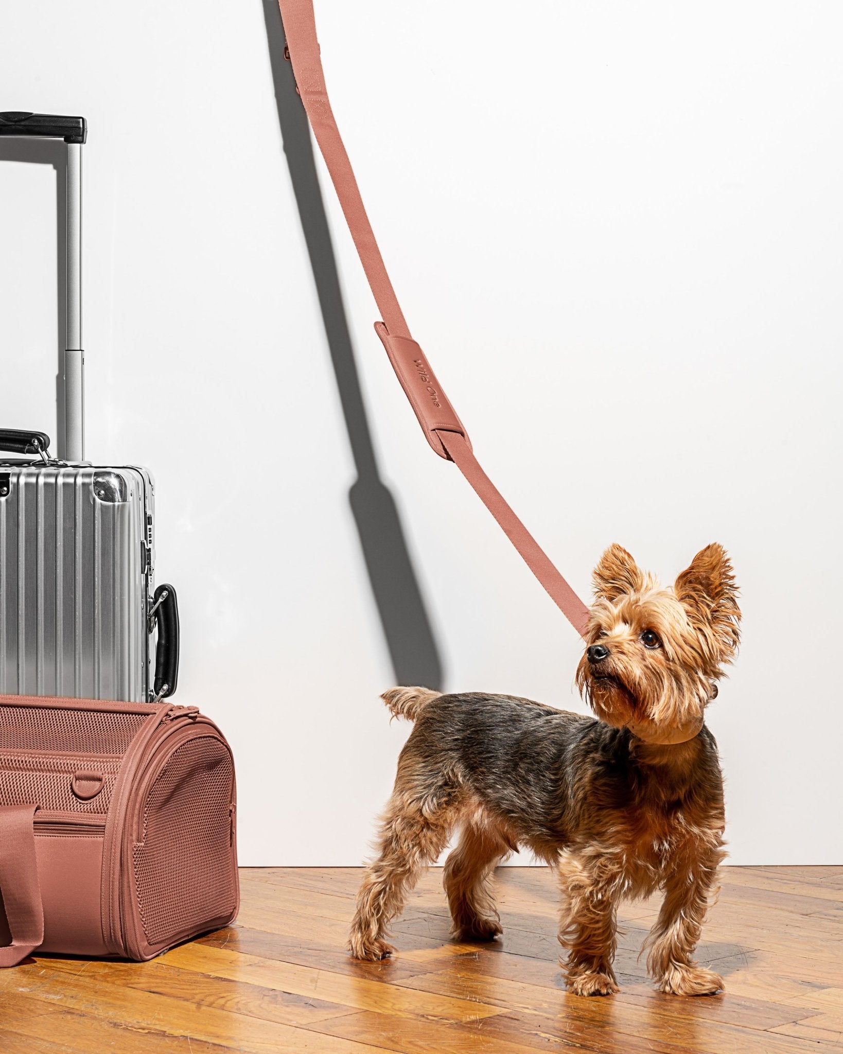 Travel Carrier - Eva Pet - Wild One