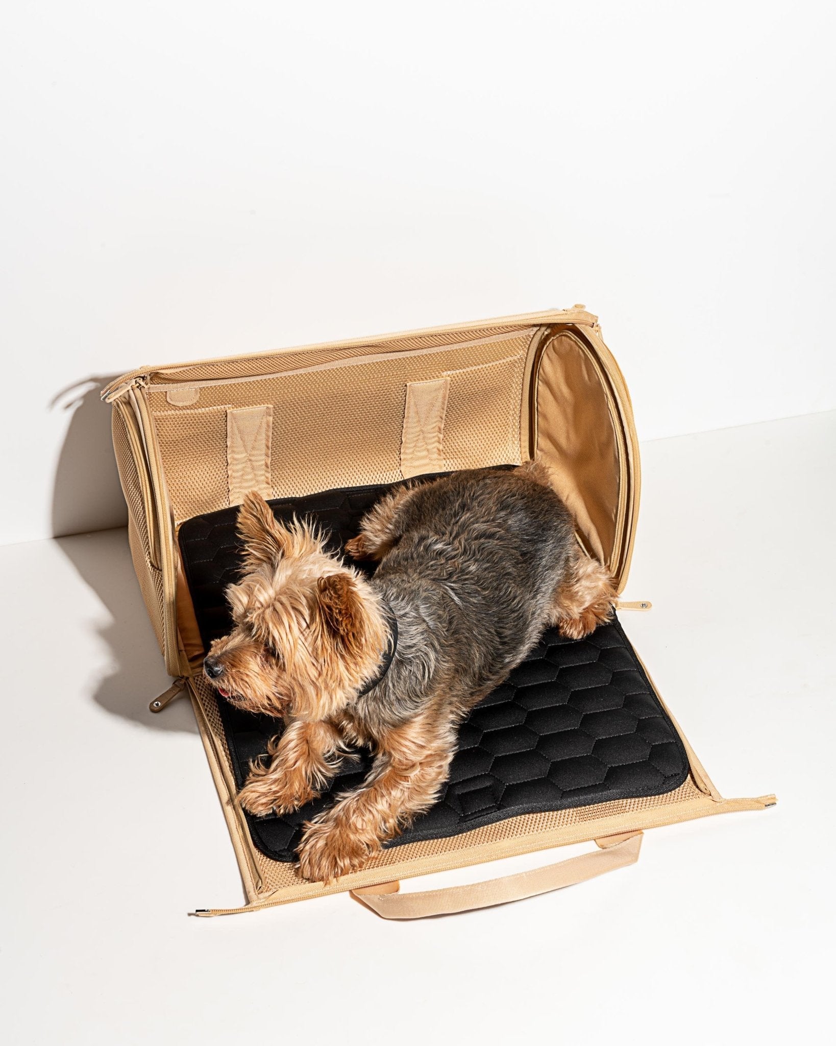 Travel Carrier - Eva Pet - Wild One