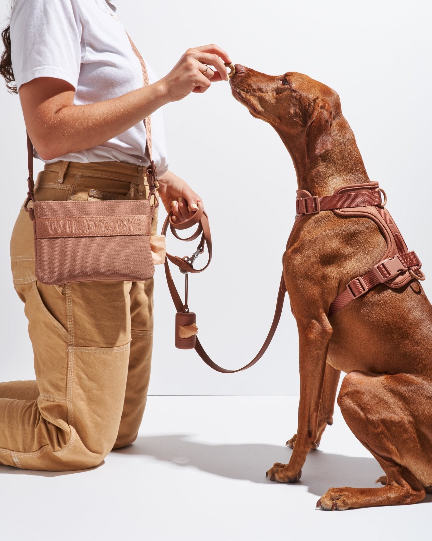 Treat Pouch - Eva Pet - Wild One