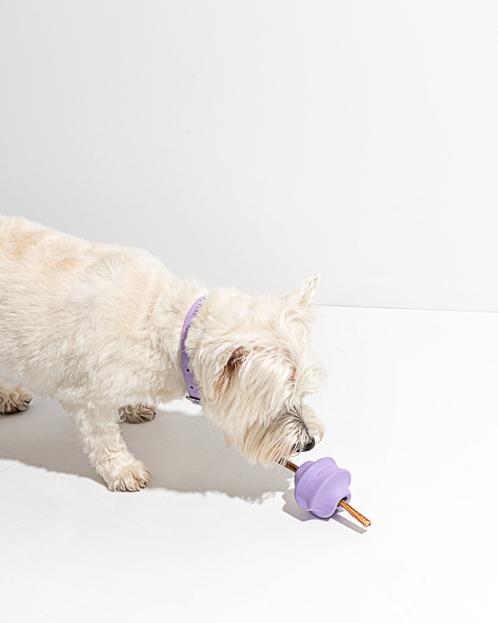 Twist Toss - Eva Pet - Wild One