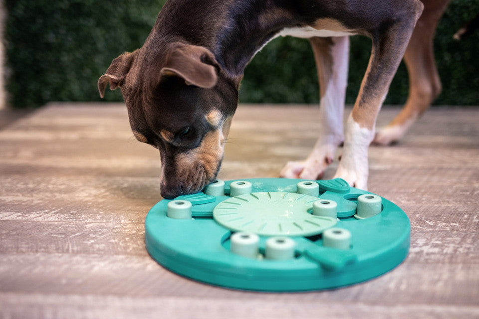 Dog Worker Interactive Treat Puzzle Dog Toy, Green