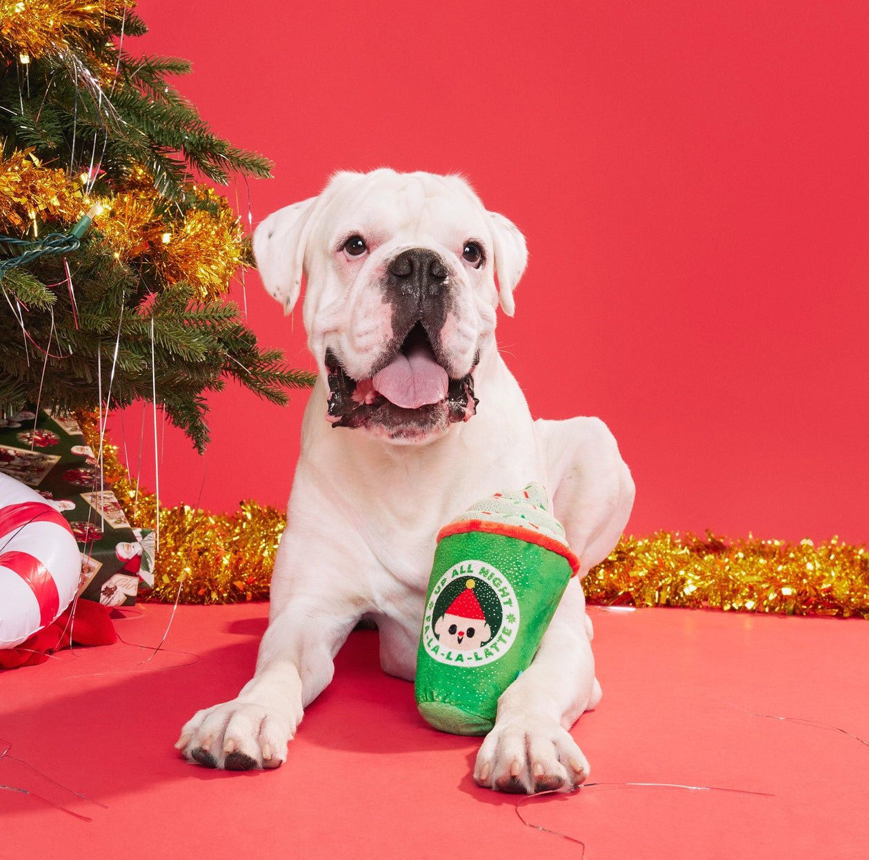 Up All Night Latte Dog Toy - Eva Pet - BARK