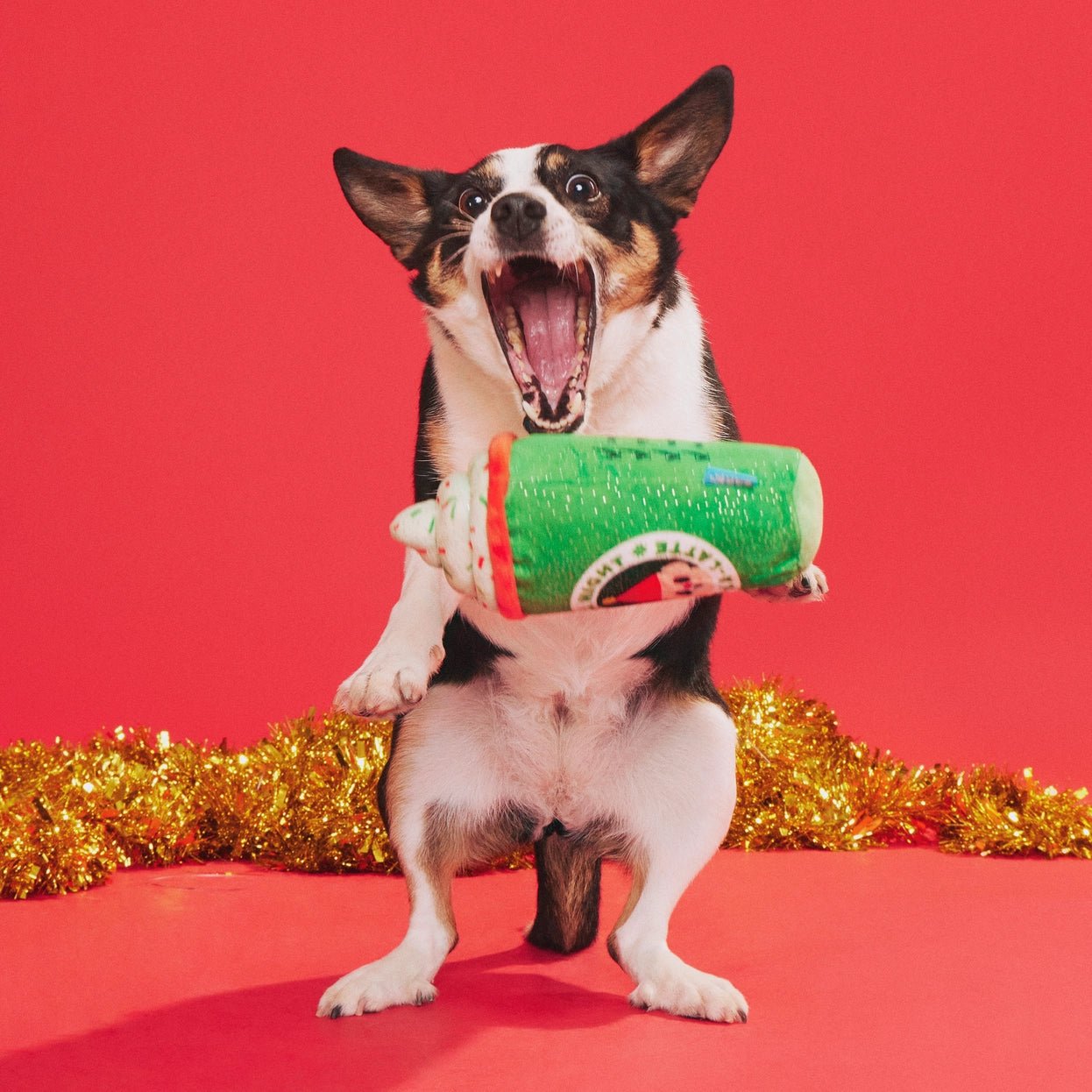 Up All Night Latte Dog Toy - Eva Pet - BARK