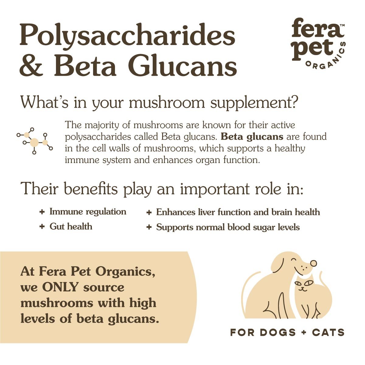 USDA Organic Mushroom Blend for Immune Support - Eva Pet - Fera Pet Organics