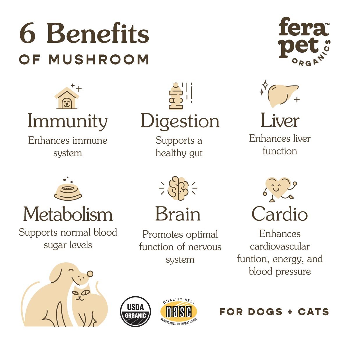 USDA Organic Mushroom Blend for Immune Support - Eva Pet - Fera Pet Organics