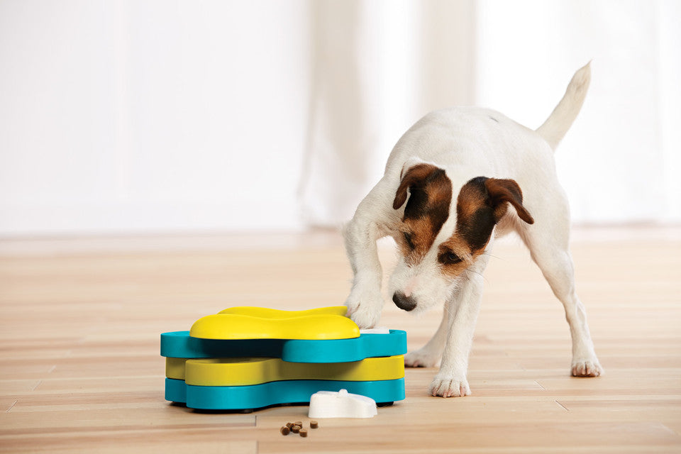 Dog Tornado Interactive Treat Puzzle Dog Toy, Blue
