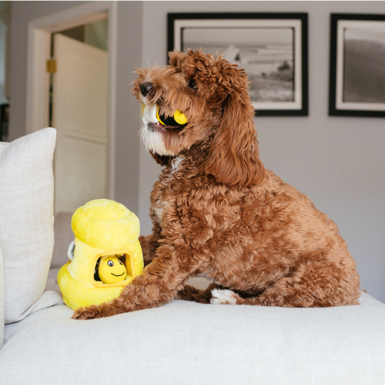 Hide A Toy Plush Puzzle Toy
