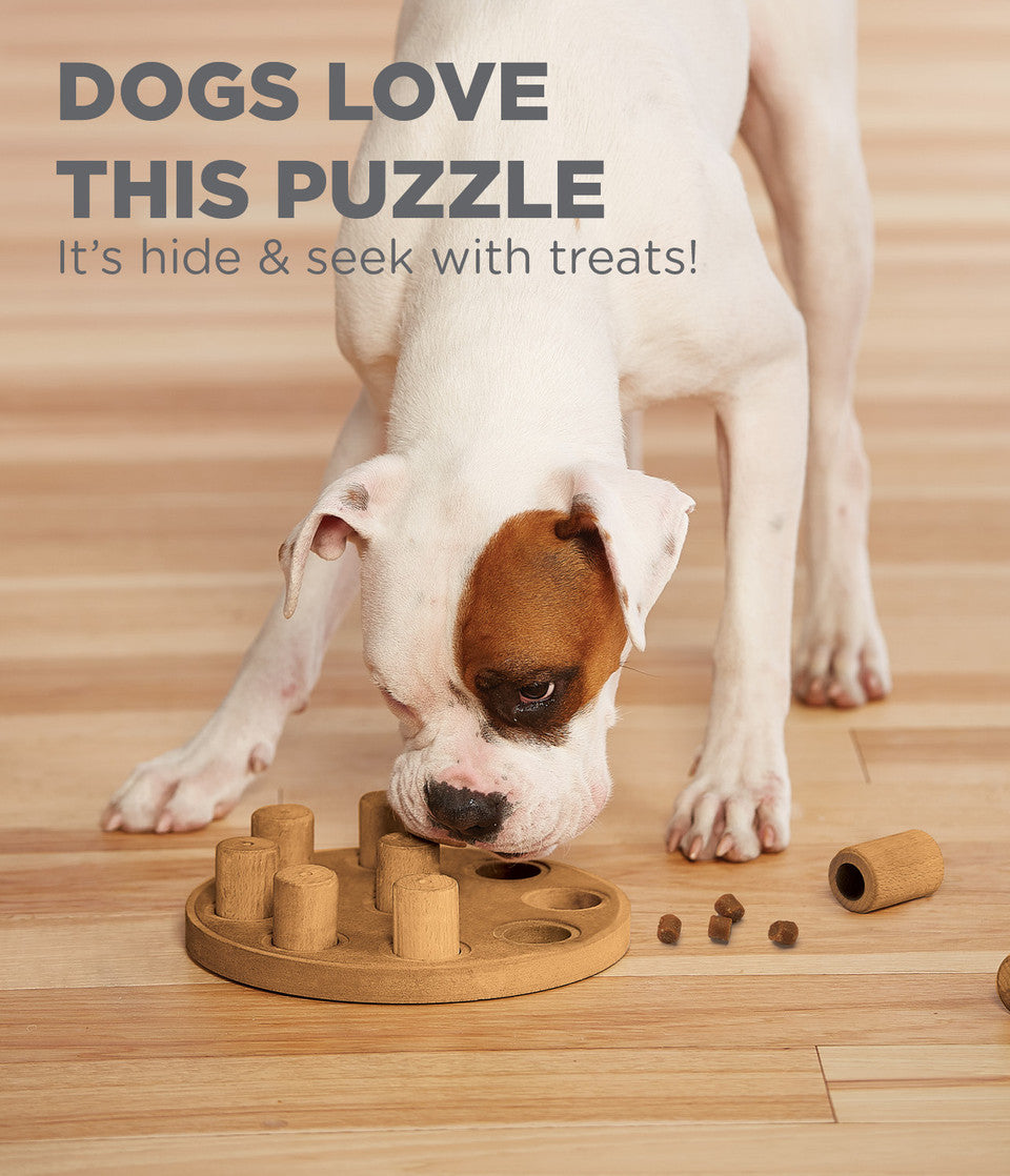 Dog Smart Composite Interactive Treat Puzzle Dog Toy, Tan