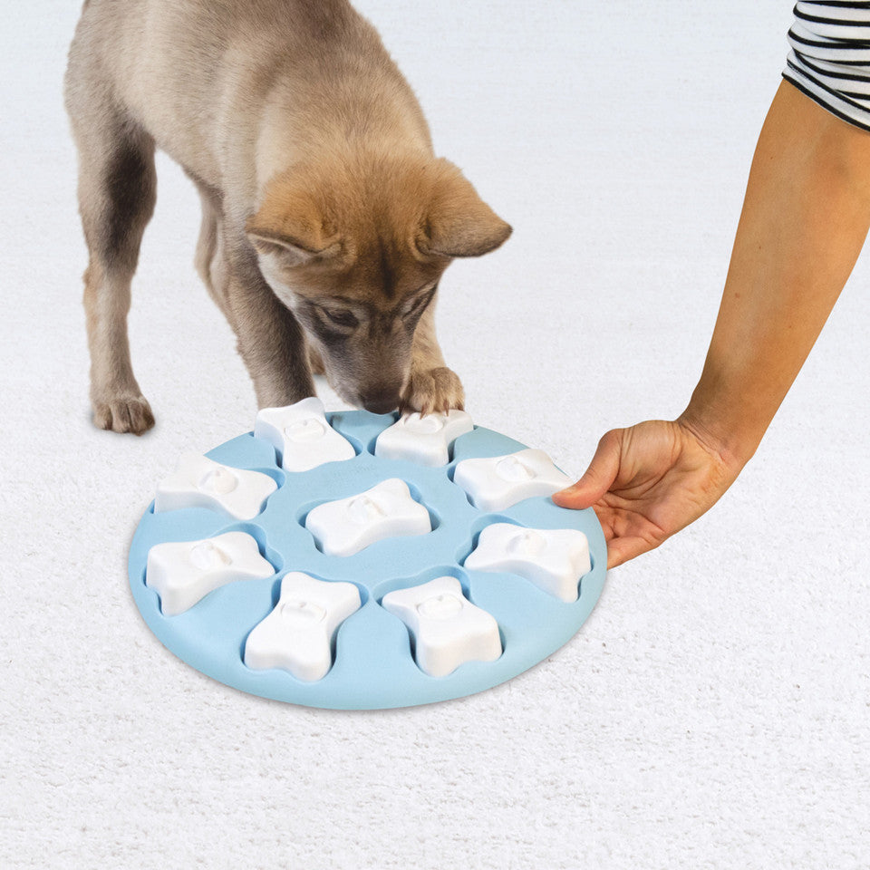 Puppy Smart Interactive Treat Puzzle Dog Toy, Blue