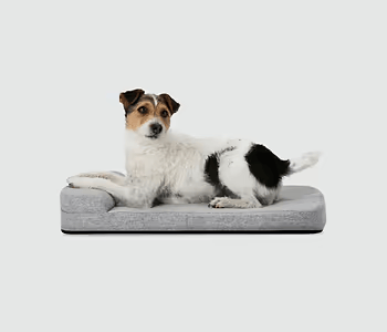 Evolv Dog Crate