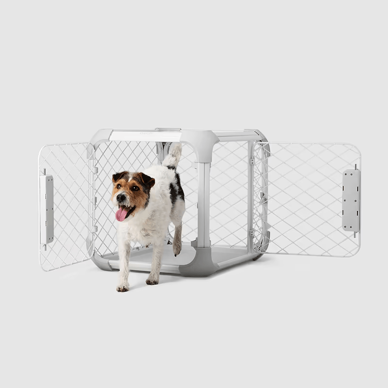 Evolv Dog Crate
