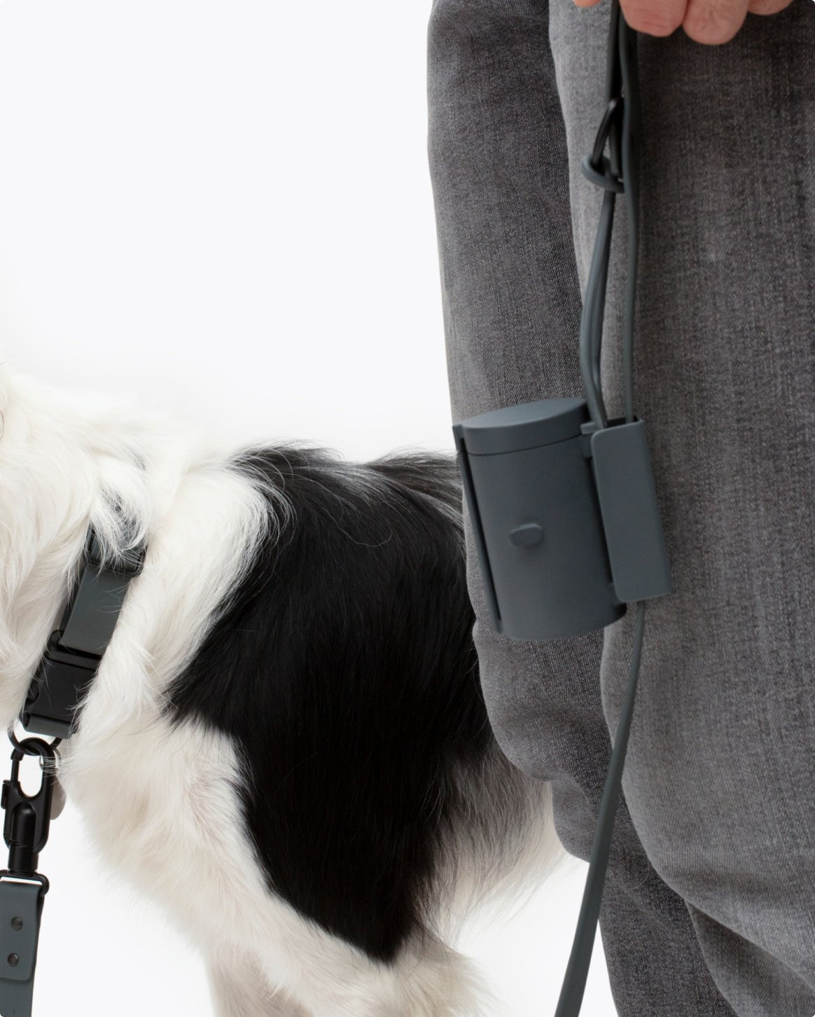 Waste Bag Holder - Eva Pet - Fable Pets