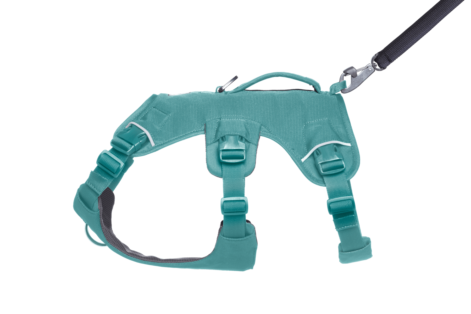 Web Master™ Dog Harness with Handle - Eva Pet - Ruff Wear Inc.