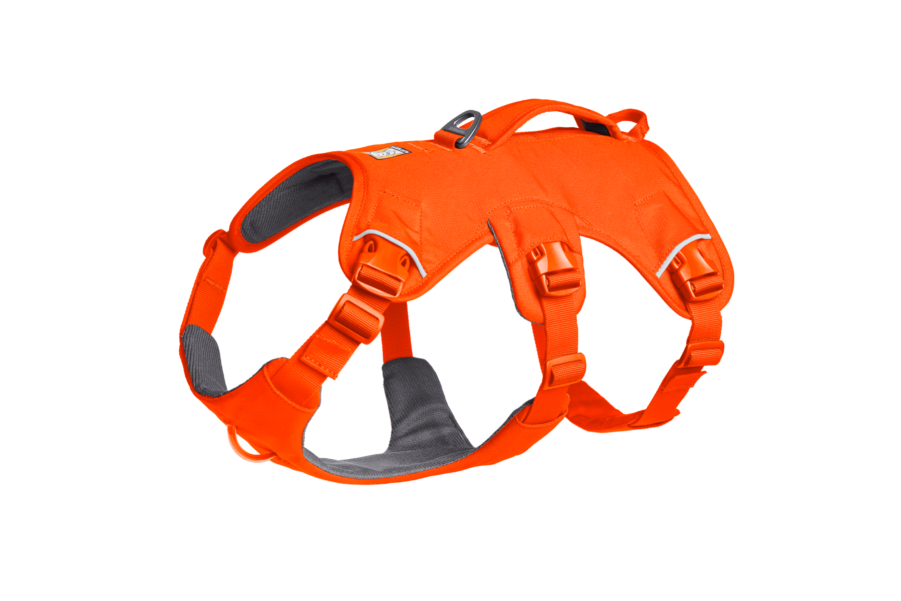 Web Master™ Dog Harness with Handle - Eva Pet - Ruff Wear Inc.