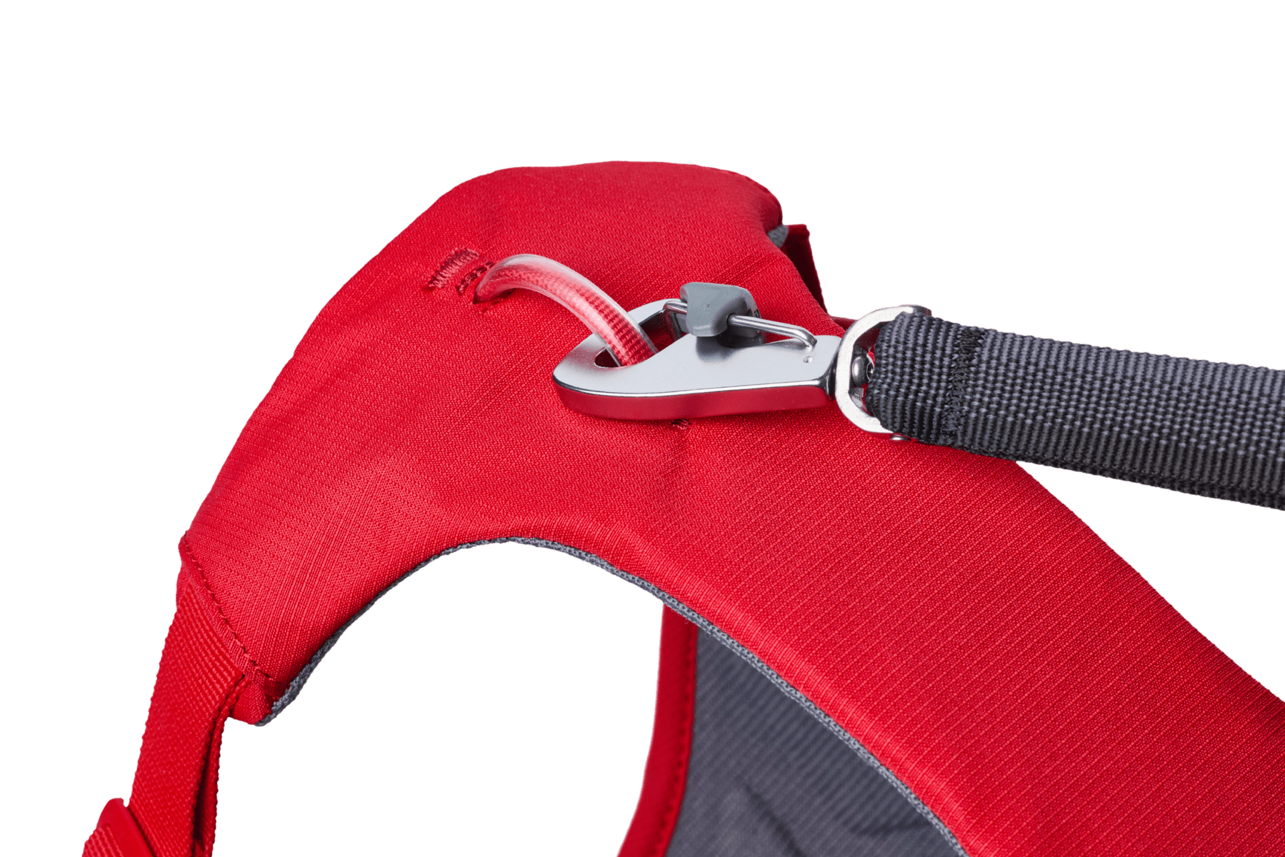 Web Master™ Dog Harness with Handle - Eva Pet - Ruff Wear Inc.