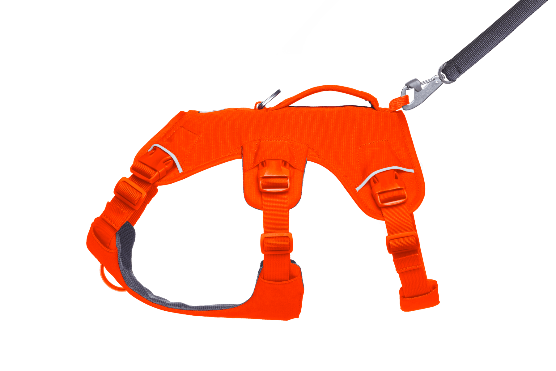 Web Master™ Dog Harness with Handle - Eva Pet - Ruff Wear Inc.