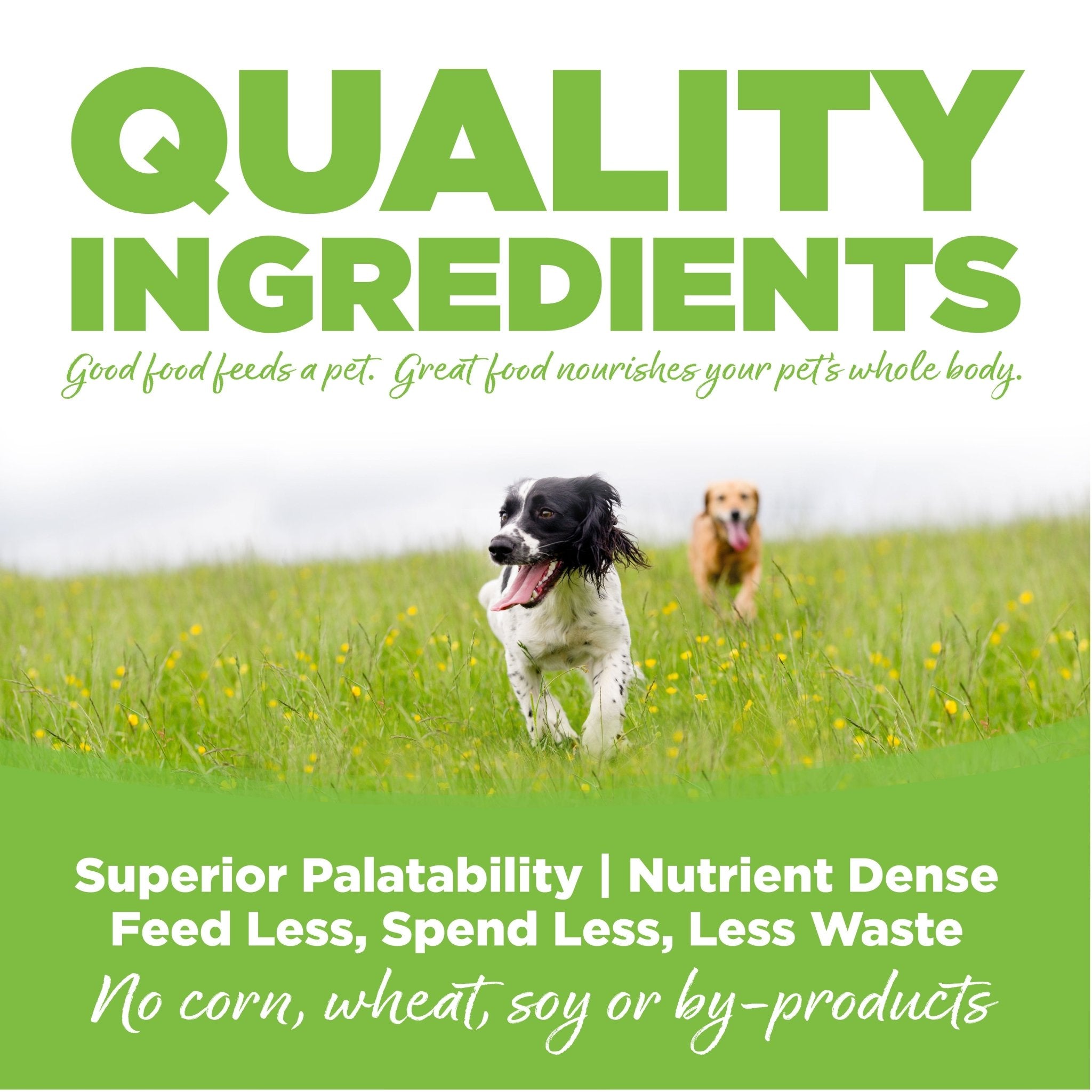 Weight Management Chicken & Rice - Eva Pet - NutriSource
